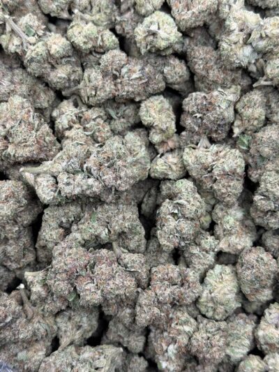 Purple Mochi