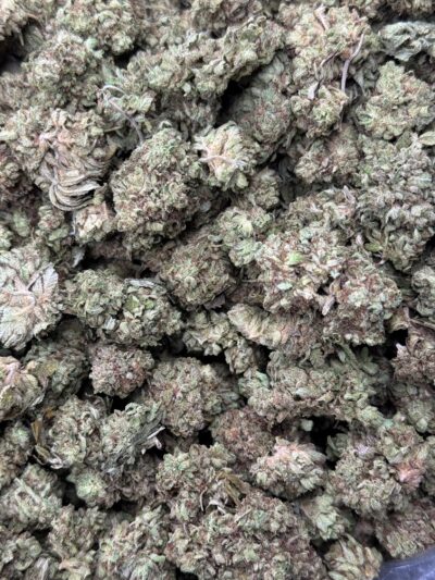 GG4