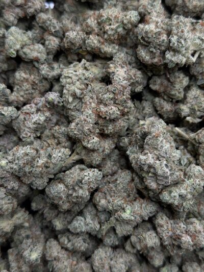 Gorilla Glue